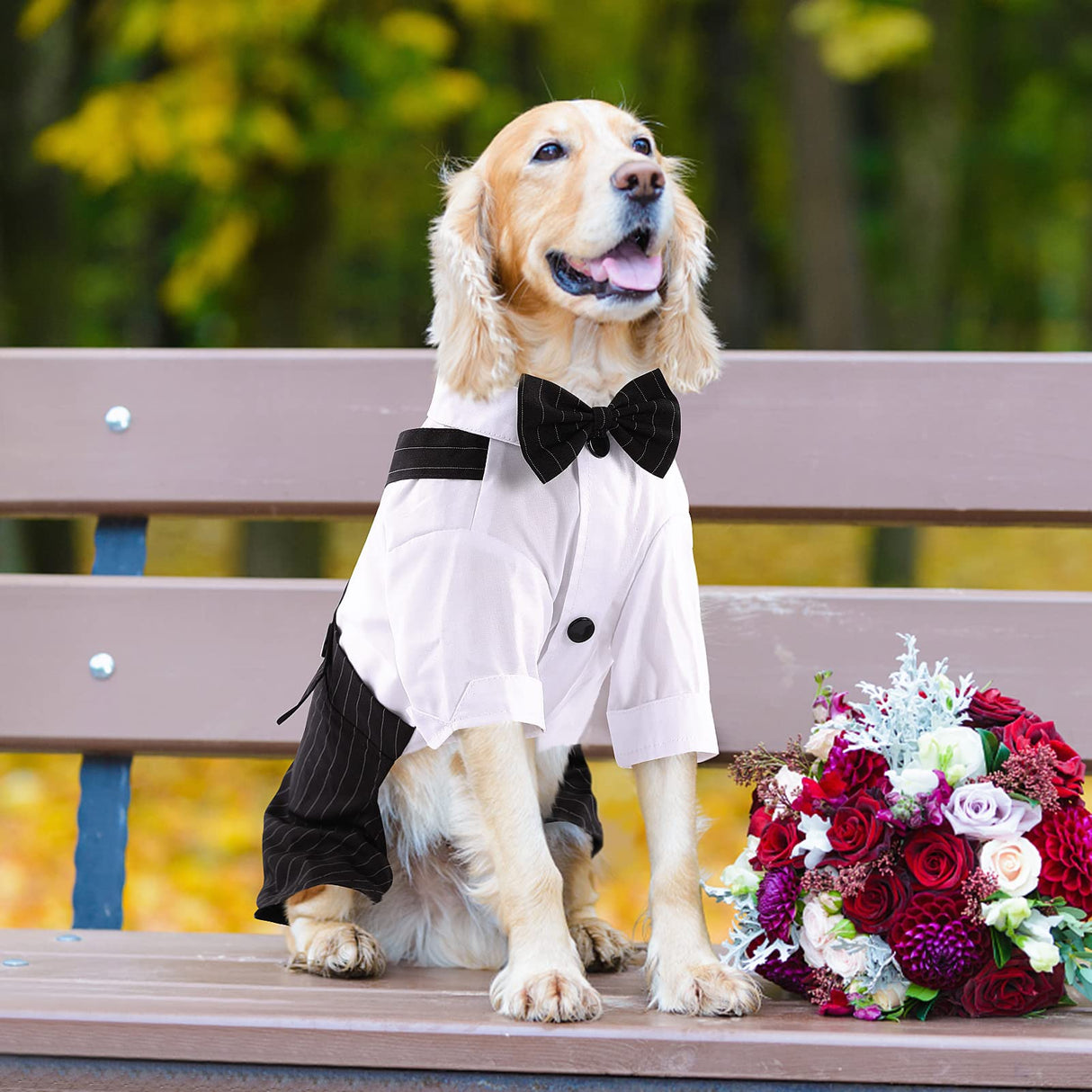 ASENKU Cute Dog Tuxedo for Small Dogs, Handsome Tuxedo for Dogs with Black Bow Tie for Party Birthday Wedding, Beautiful Dog Outfit for Frenchie, Boston Terrier