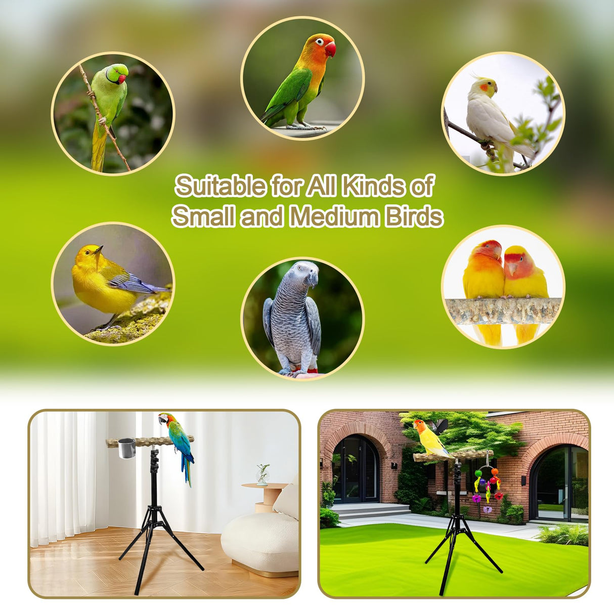Arfubye 16-63 Inch Height Adjustable Bird Perch Pepper Wood Bird Training Perch Stand Parakeet Perches Indoor and Outdoor Parrot Stands for Small to Medium Bird