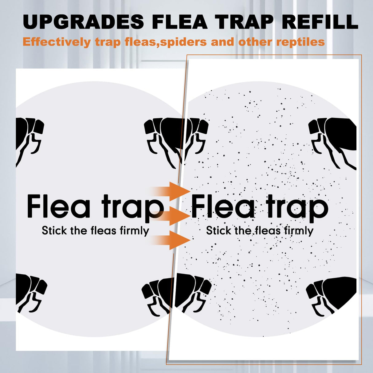 Qualirey 4 Pieces Flea Traps with 8 Sticky Disc 12 Bulbs 4 Electric Wires Flea Traps for Inside Your Home Safe Flea Light Trap for Indoor Safe to Pets and Kids (Black, White, UV Flea Trap)