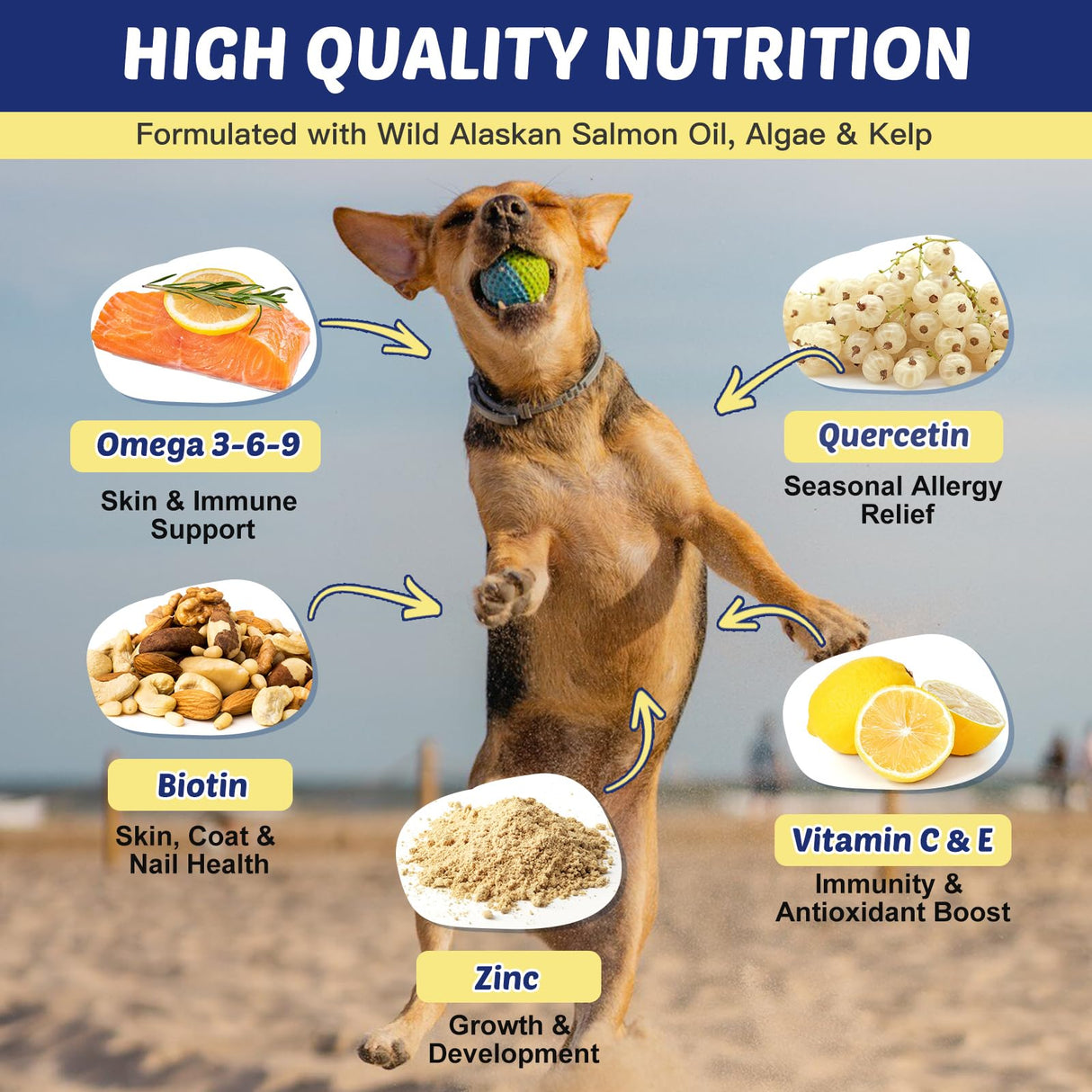ZEBORA Salmon Oil for Dogs, Omega 3 Fish Oil for Dogs Skin and Coat with EPA & DHA, Zinc, Biotin, Quercetin, Vitamin C & E for Dog Allergy Relief, Hot Spot Treatment, Control Dog Shedding, 180 Chews