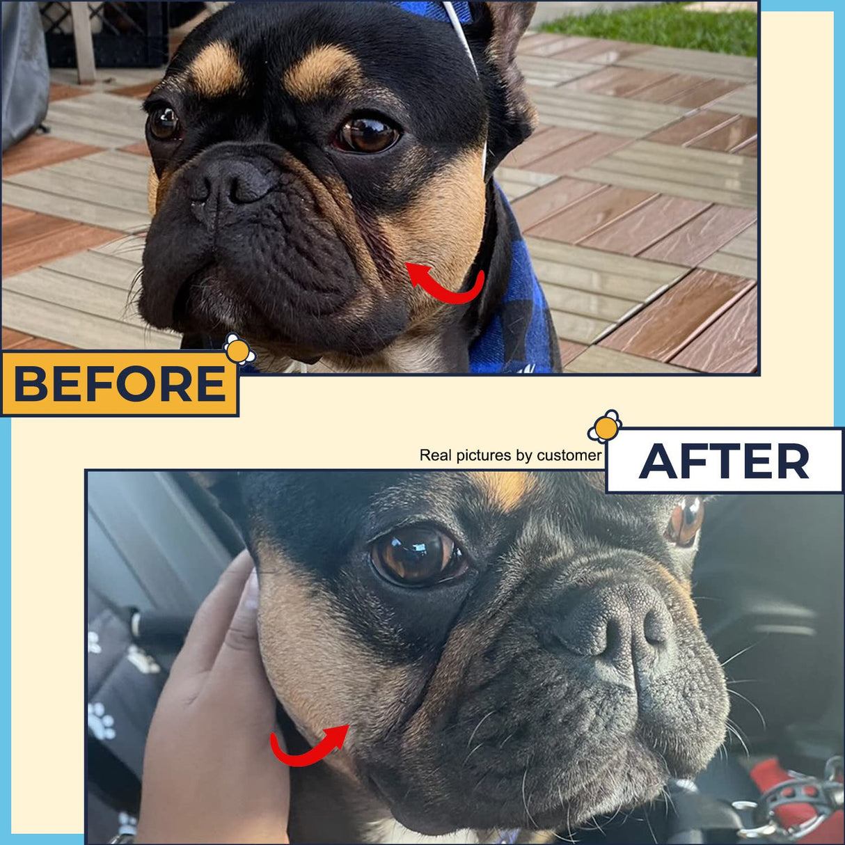 Bulldog Skin Care(Pack of 3)Paste for Bulldogs Wrinkle+Wrinkle Wipes For French Bulldogs+Skin Relief for Dog-Say Bye To Rash,Redness On French Bulldog & English Bulldog, Pug-Frenchie Dog Accessories