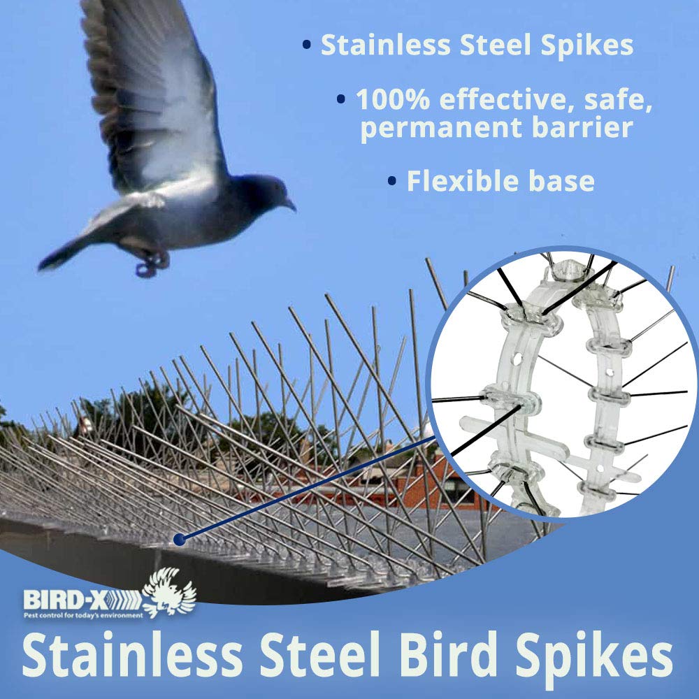 Bird-X Deterrent Steel Spikes, Bird Control, 5-inch W, 100 ft Long (STS-100)