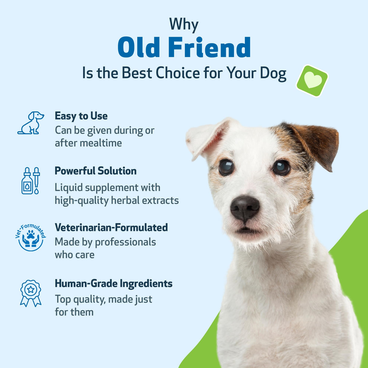 Pet Wellbeing Old Friend for Senior Dogs - Supports Immune System Health, Joint Mobility, Healthy Energy Levels, Alfalfa, Reishi - Veterinarian-Formulated Herbal Supplement 2 oz (59 ml)