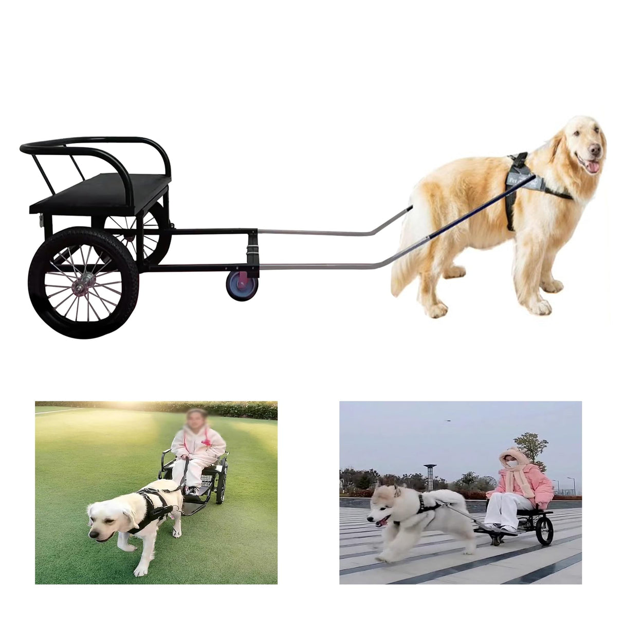 JIYCD Dog Trailer Dog Carts for Dogs to Pull People Dog-Pulling Stroller with Seat Detachable Lightweight for 22 lb-132 lb Small Medium and Large Dogs, Load Capacity 100 kg(Size:88lb-132lb)