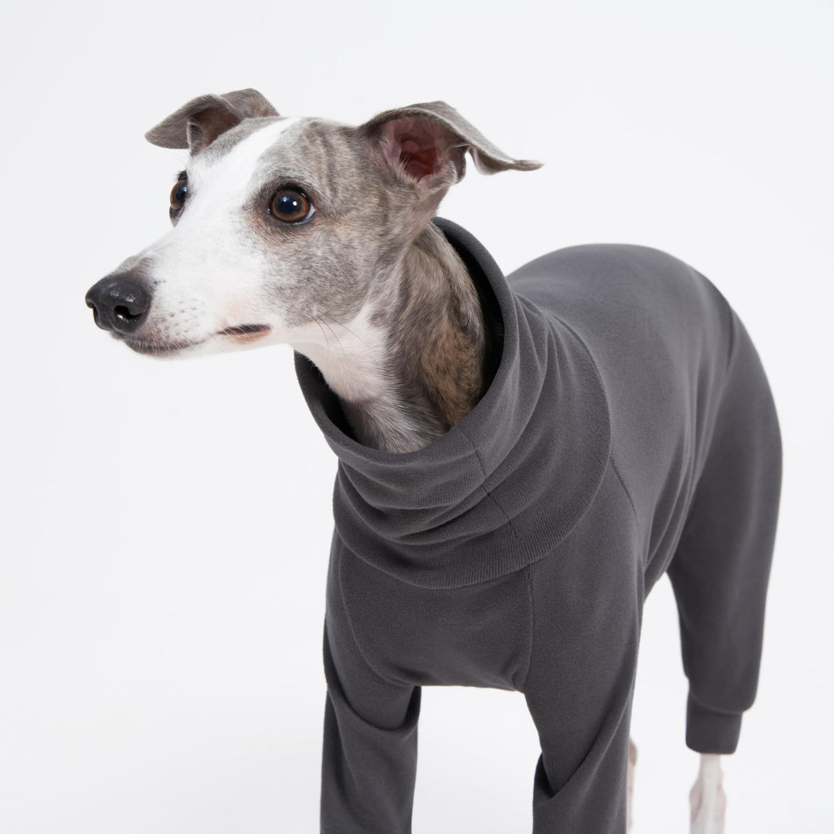 ESCCBOO Cozy Cotton Fluffy Underwear Onesie for Italian Greyhounds and Whippets, Super Soft Warm Pajamas and Jumpsuit(Large, Grey)