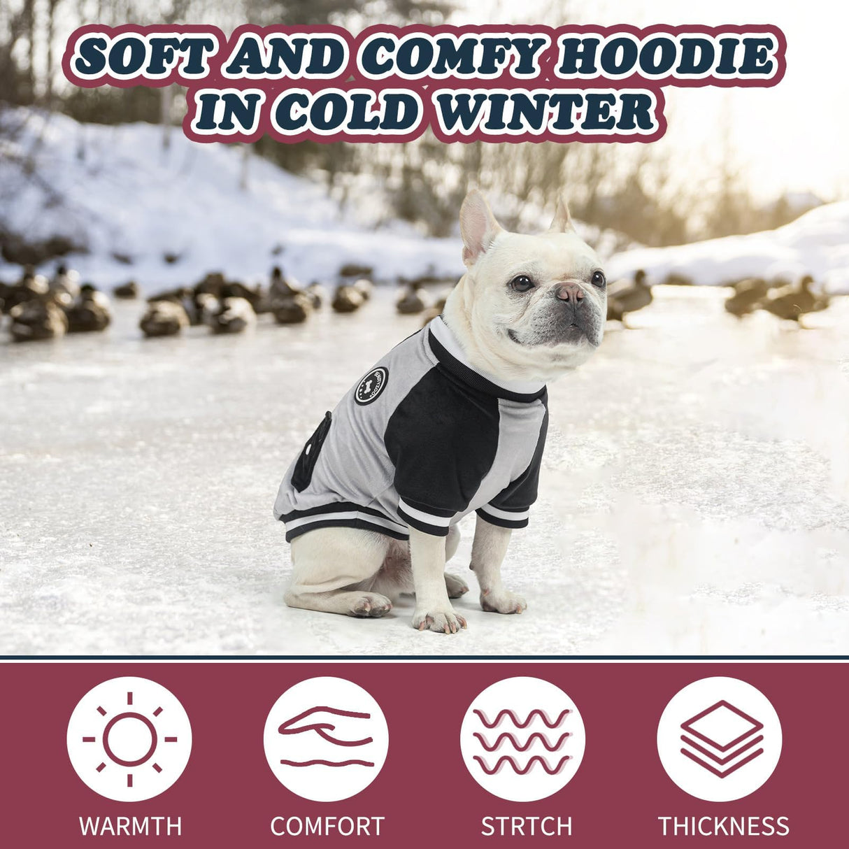 BEAUTYZOO Dog Sweaters for Small Medium Large Dogs, Dog Hoodie Warm Fleece Dogs Winter Clothes Cute Stylish Boy & Girl Dog Sweatshirts, Grey Sport Coats Baseball Uniform Jackets for Puppy, M