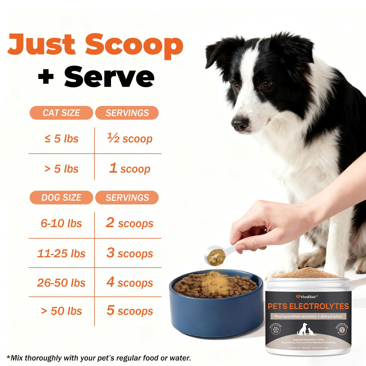 Electrolytes for Dogs – Vet-Formulated Hydration Supplement– Supports Post-Surgery & Illness Recovery– Helps Replenish Fluids & Electrolytes Lost from Diarrhea, Vomiting & Poor Appetite