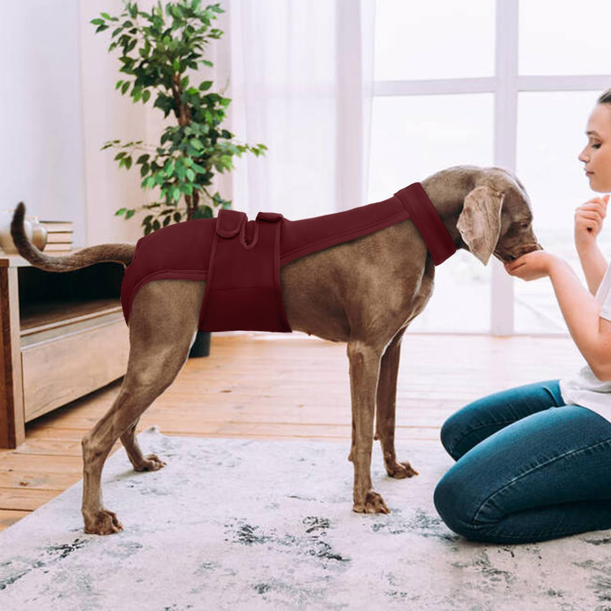 Leletail Dog Diapers Female Reusable Washable Period Diaper with Suspender,Adjustable Dog Panties Anti-Harassment, Doggie Diapers for Incontinence, Heat Cycles, or Senior Dogs(XS-XL