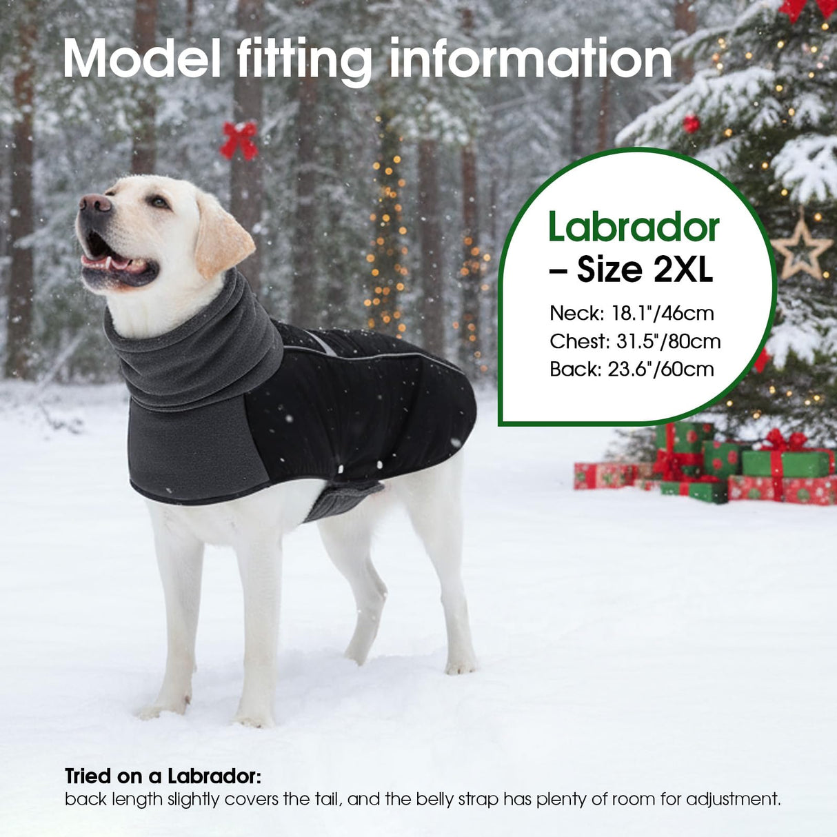 ASENKU Dog Coat, Dog Winter Jackets with Fleece Turtleneck, Windproof, Reflective Pet Snow Jacket for Cold Weather,Coats for Extra Large Size Dogs, Black, XXXXL