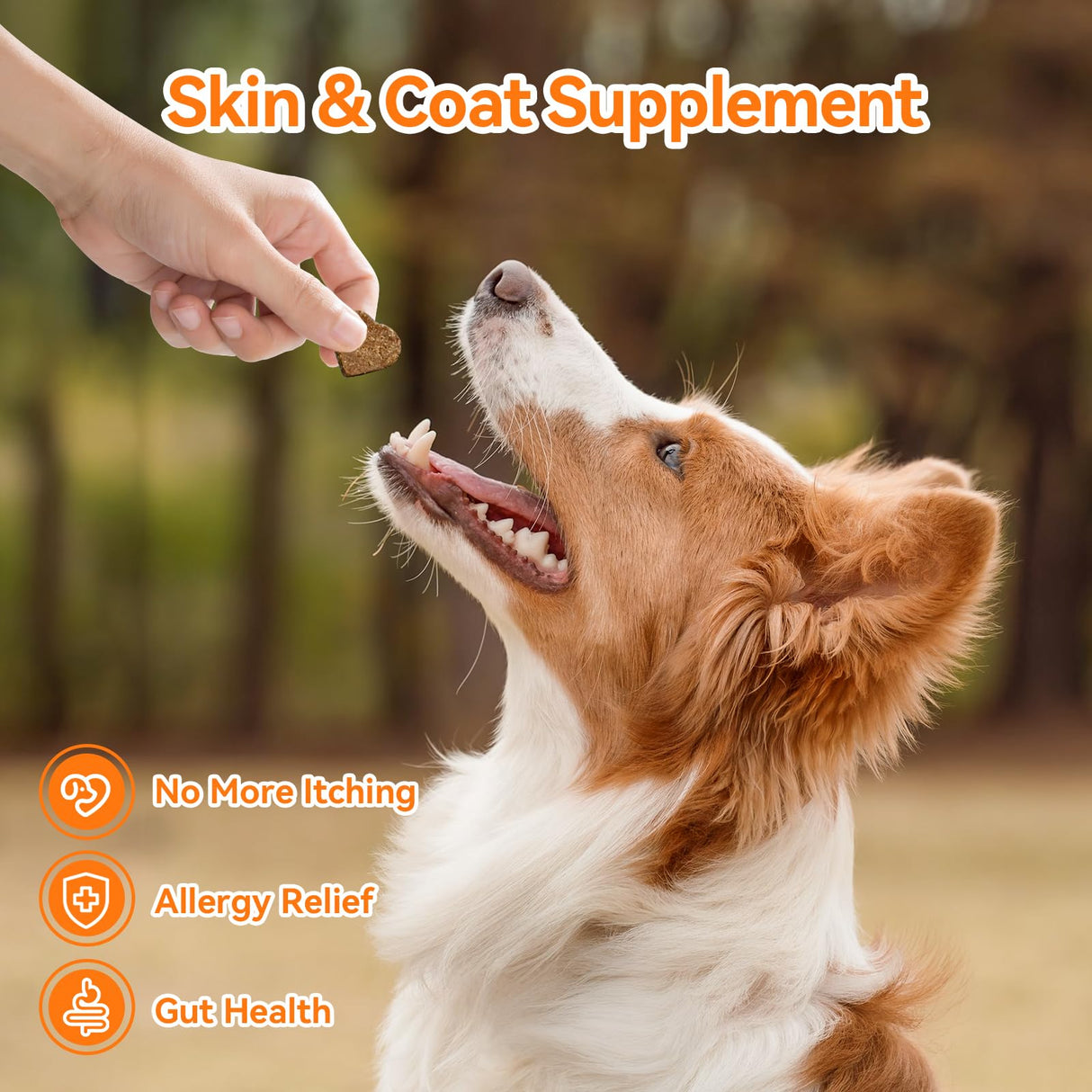 Dog Allergy and Immune Chews 200PCs Skin and Coat Itchy Relief Anti Itch Immune Bites for Dogs, Helps Repair Skin Ears Paw Licking, 5 Probiotics Blend Gut Health for Sensitive Seasonal Allergies