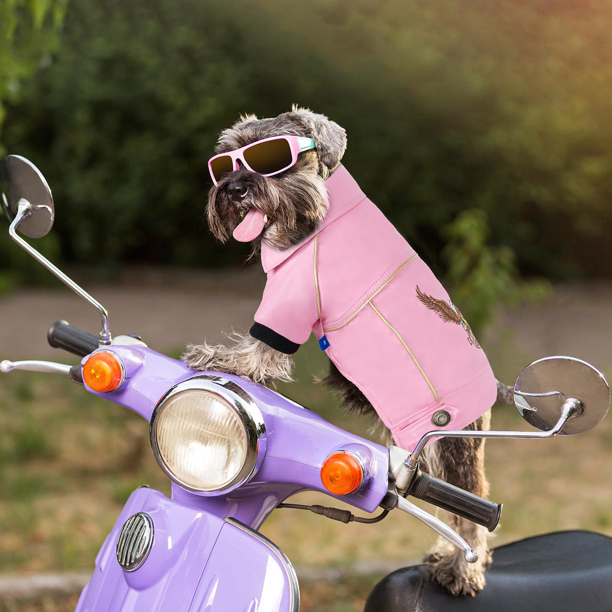 NIULA Dog Leather Jacket - Cute Leather Dog Jackets Motorcycle Clothes with Buttons Pet Waterproof Winter Coat for Small Medium Dogs(Pink, XL)