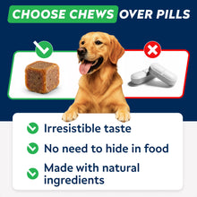 Load image into Gallery viewer, StrellaLab Dog Allergy Relief & Anti Itch Support Chews w/Omega 3: Real Ingredients, Real Taste! Skin & Coat Immune Supplement w/Fish Oil, Pumpkin & Enzymes — Developed by Experts - Made in USA -120Ct