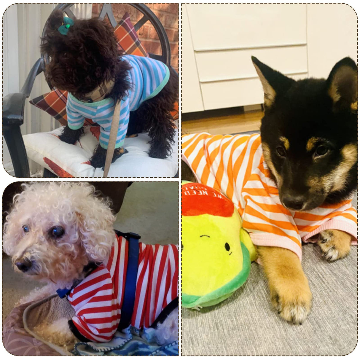 Geyoga 6 Pieces Dog T-Shirt Striped Cotton Breathable Spring Pet Apparel Colorful Soft Puppy Sweatshirt Clothes for Small to Medium Dogs Puppy(Light Color,M)