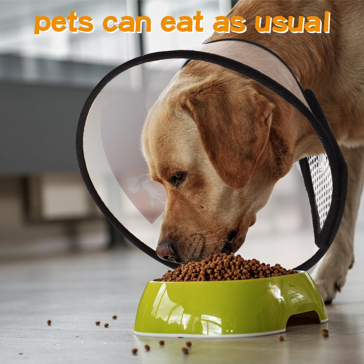 Paterr 9 Pcs Soft Dog Cone Collar Adjustable Protective for Pet Flexible Plastic Cone for Dog After Surgery Recovery E Collar for Wound Healing Small Medium Large