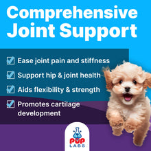 Load image into Gallery viewer, Freedom Joint Drops for Dogs with Hyaluronic Acid, MSM, Glucosamine, & Chondroitin, All Natural Liquid Joint Supplement for Dogs for Pain Relief, Mobility and Hip Support, 30 ml Dropper