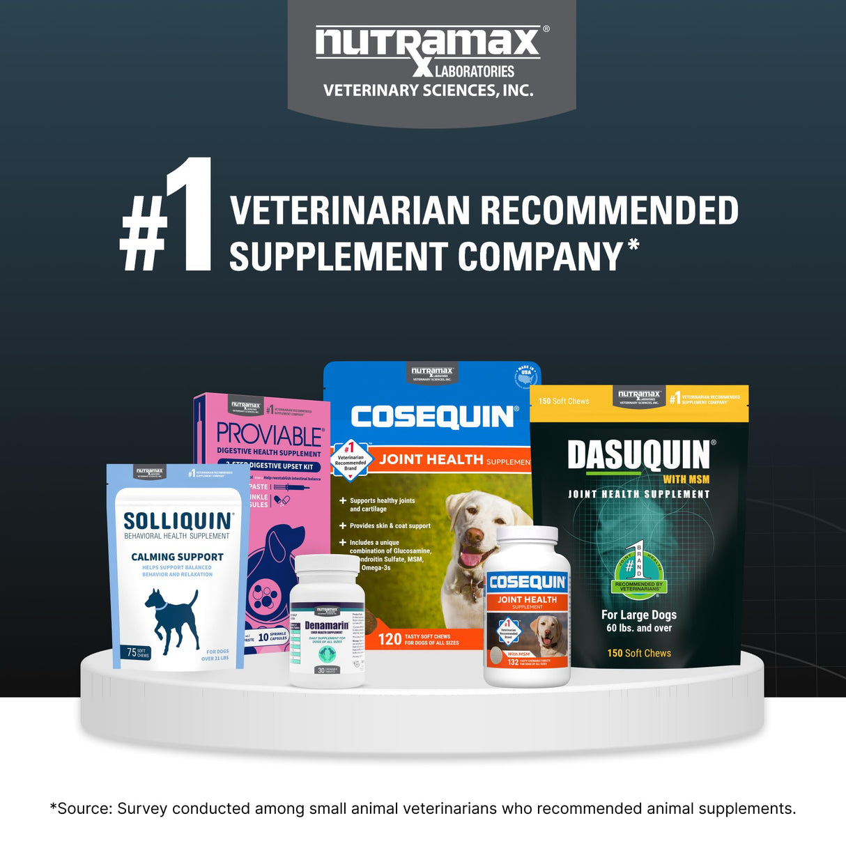 Nutramax Dasuquin for Large Dogs, Joint Health Supplement, Contains Glucosamine for Dogs, Plus Chondroitin, ASU, MSM and More, Supports Healthy Joints, Soft Chews, 42 Count