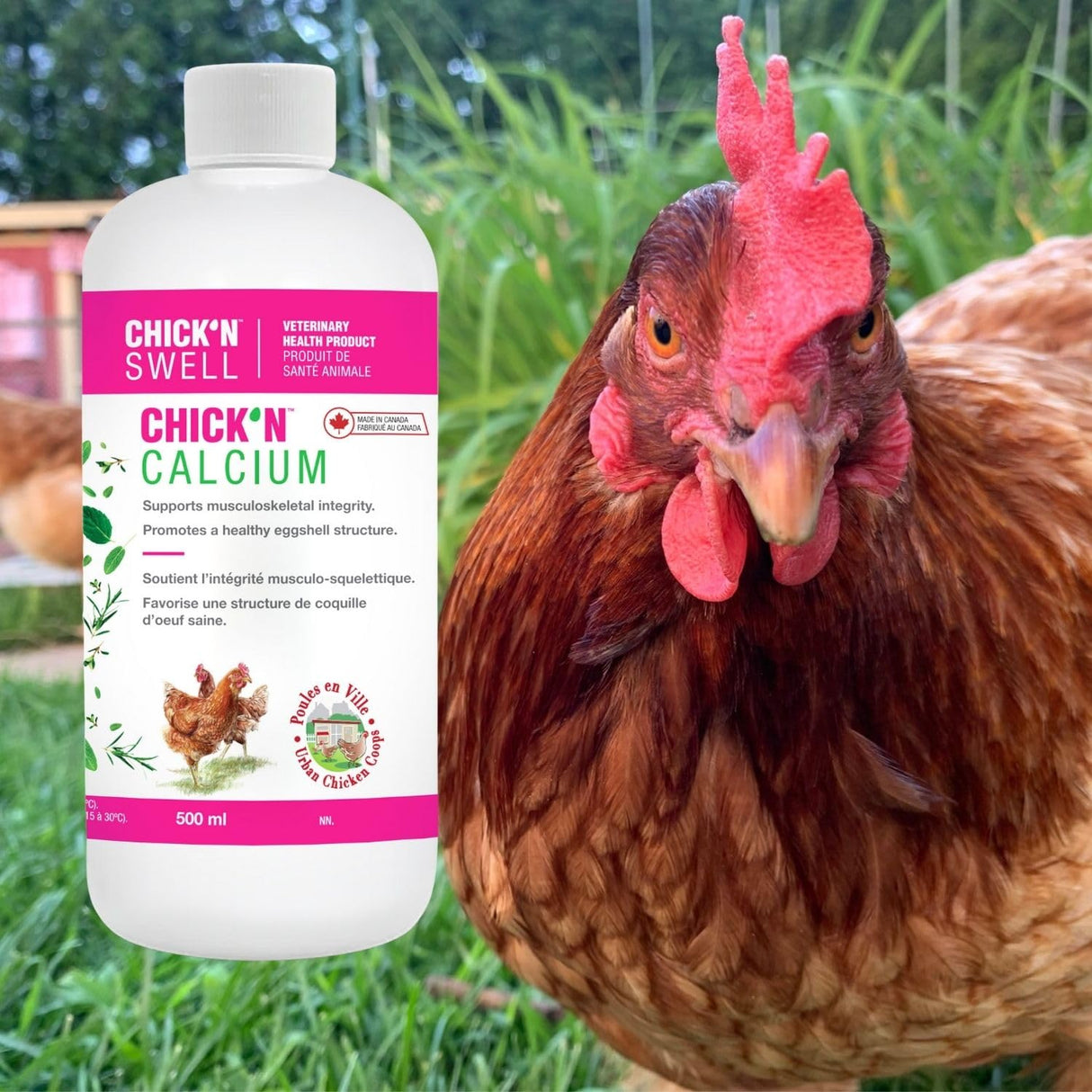 Premium Poultry Calcium Supplement for Bone Health & Egg Production-Chick’N Calcium from Chick’N Swell Brand- for All Poultry. 16.8 oz