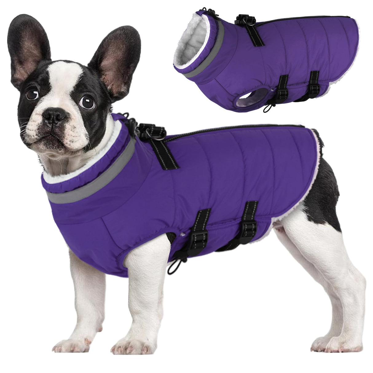Mklhgty Small Dog Coat with Harness Built-in, Waterproof Reflective Fleece Lined - Warm Windproof Winter Jacket with Back Zipper, Cold Weather Snow Dog Coats - Purple - S