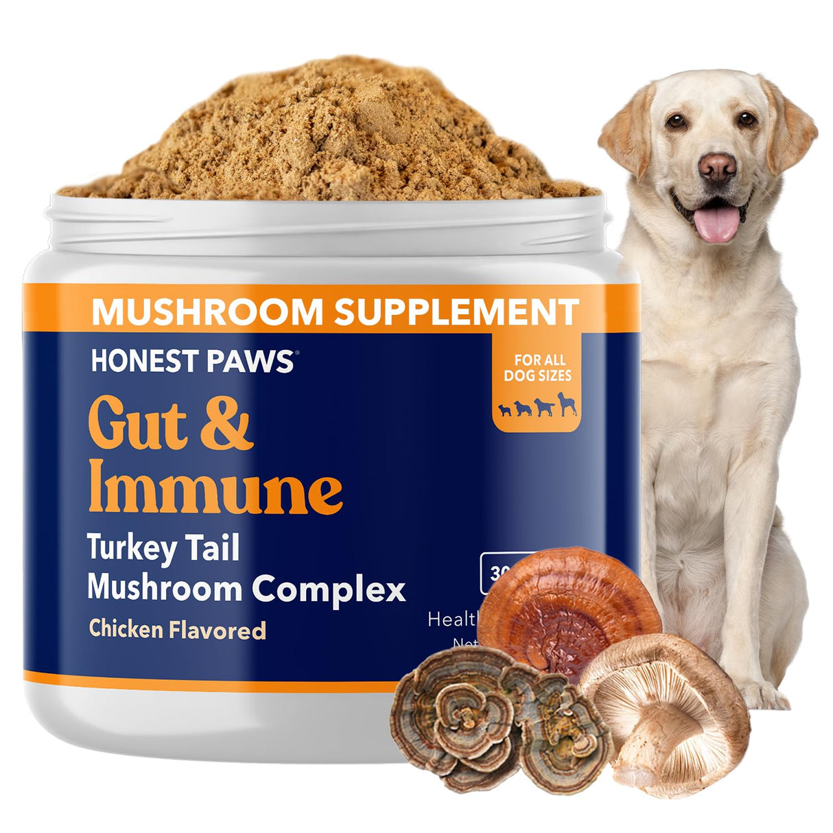 Honest Paws Turkey Tail Mushroom for Dogs - Digestive and Immune Support - Shiitake, Reishi, Maitake Mushroom Supplement Powder for Dogs - No Filler, No Additives - (30 Scoops)
