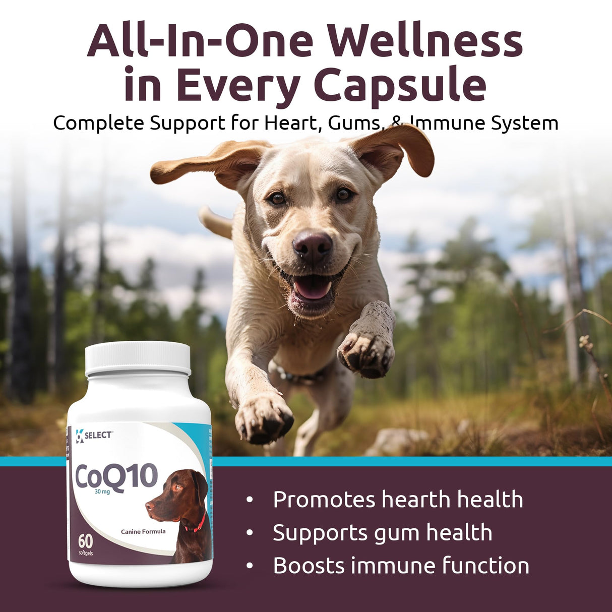 K9 Select CoQ10 Supplement for Dogs, 30mg - 60 Soft Gels per Bottle - Pet Supplement, Nutritional Softgels for Canine Heart Health, Cardiovascular & Gum Health, Energy