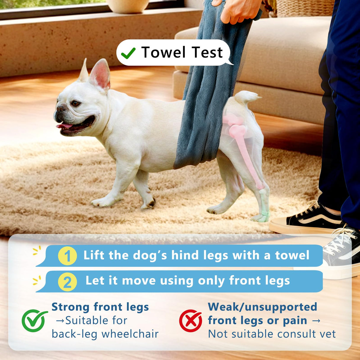 Dog Wheelchair for Back Legs – Adjustable Height/Length/Width, Sturdy Wheelchair with All-Terrain Shock-Absorbing Wheels, Mobility Support for Injured or Disabled Small & Medium Dogs & Cats, Blue (M)