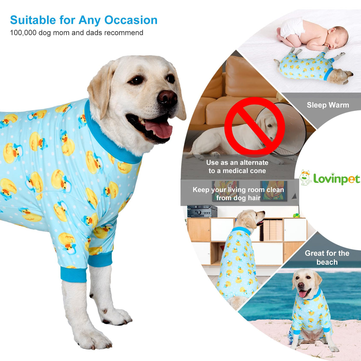 LovinPet Big Dog Wound Care/Surgery Recovery Shirt, Pet Anxiety Shirt, Lightweight Stretchy Knit Fabric, Rubber Ducks with Hats Blue Print Dog Pjs, Dog Pajamas, Pet PJ's/XL