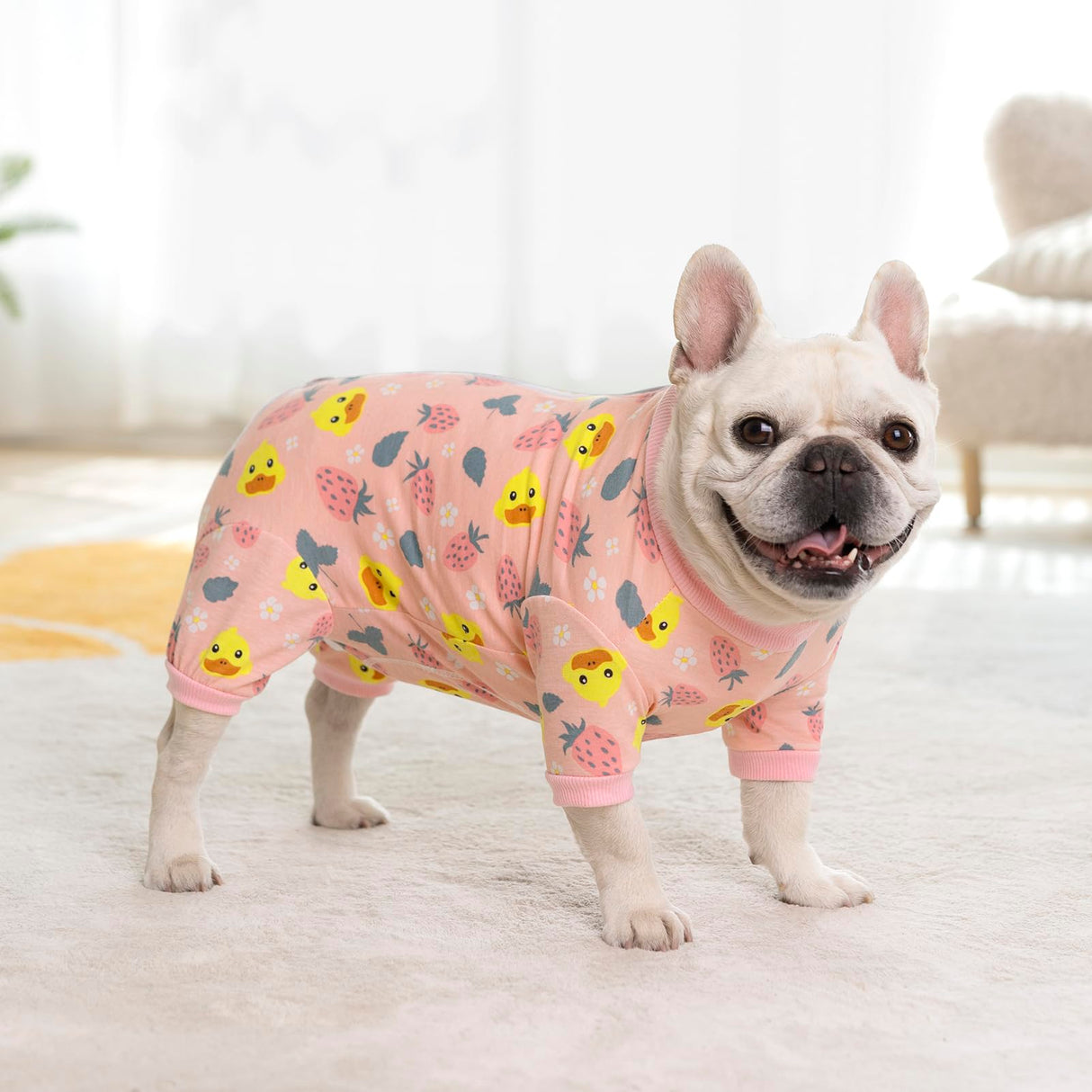 Dog Surgery Recovery Suits, Puppy After Surgery Onesie for Female Dogs, Post Surgical Recovery Onesies French Bulldogs, Small Dogs Pajamas Long Sleeve for Shedding Skin Disease