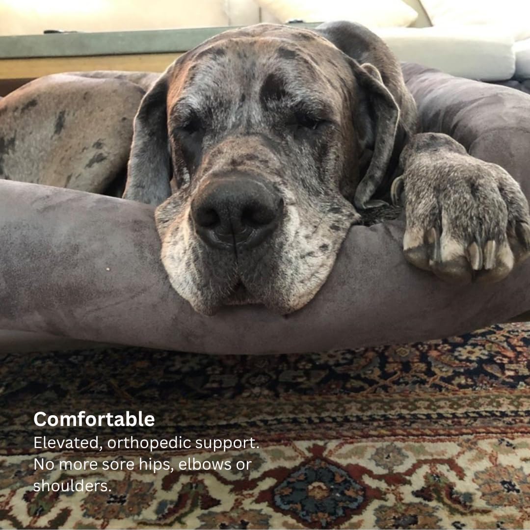 Kuranda Chewproof Elevated Dog Bed - Walnut PVC - 40" x 25" - Cordura Nylon - Gold