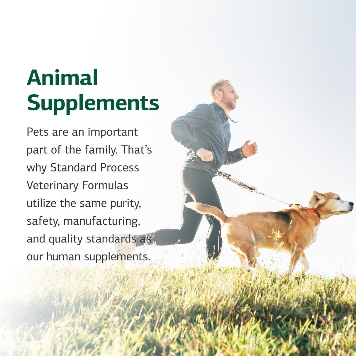 Standard Process Inc. Canine Enteric Support - Digestive System Support for Dogs - Nutritional Dog Supplement for Gut Health - Canine Supplement Formula to Aid Healthy Digestion - 30 g