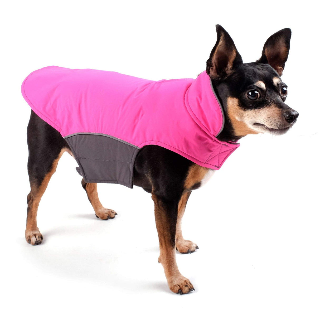 THE WORTHY DOG Apex Dog Jacket – Water-Resistant, Fleece-Lined, Adjustable Fit with Reflective Trim & Harness Hole – Three-Season Pet Coat, Machine Washable - Blue, 18