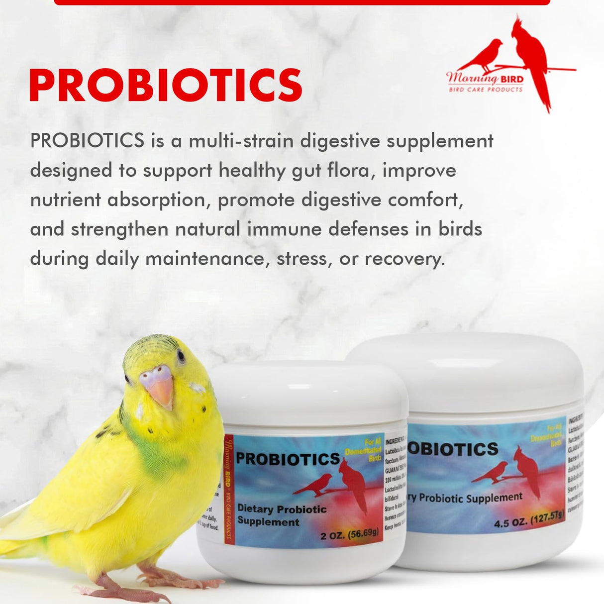 Morning Bird Probiotics for Birds 2 oz – Digestive Health Supplement Supporting Gut Balance, Nutrient Absorption & Immune Support – Easy Mix Powder Supplement for All Bird Species