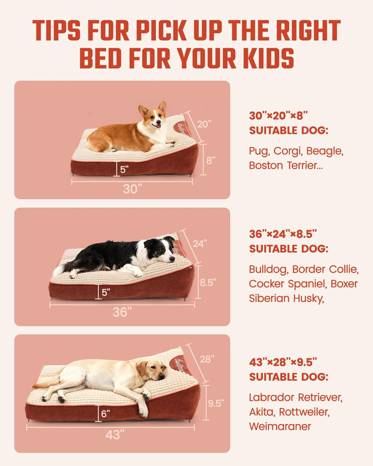 Pawccoli Dog Beds Large Sized Dog - Comfy Flat Pet Beds with Removable Washable Cover, Orthopedic Foam Puppy Mat with Pillow Suitable for Pet Up to 65 lbs(36''×24''×5'')