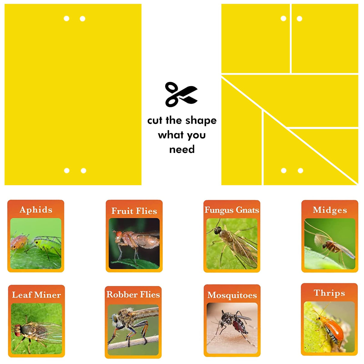Stingmon 65 Pcs Sticky Fly Trap, Yellow Fly Catcher for Orchard Garden, Fungus Gnat Killer Outdoor for Fungus Gnats, Whiteflies, Aphids, Leafminers