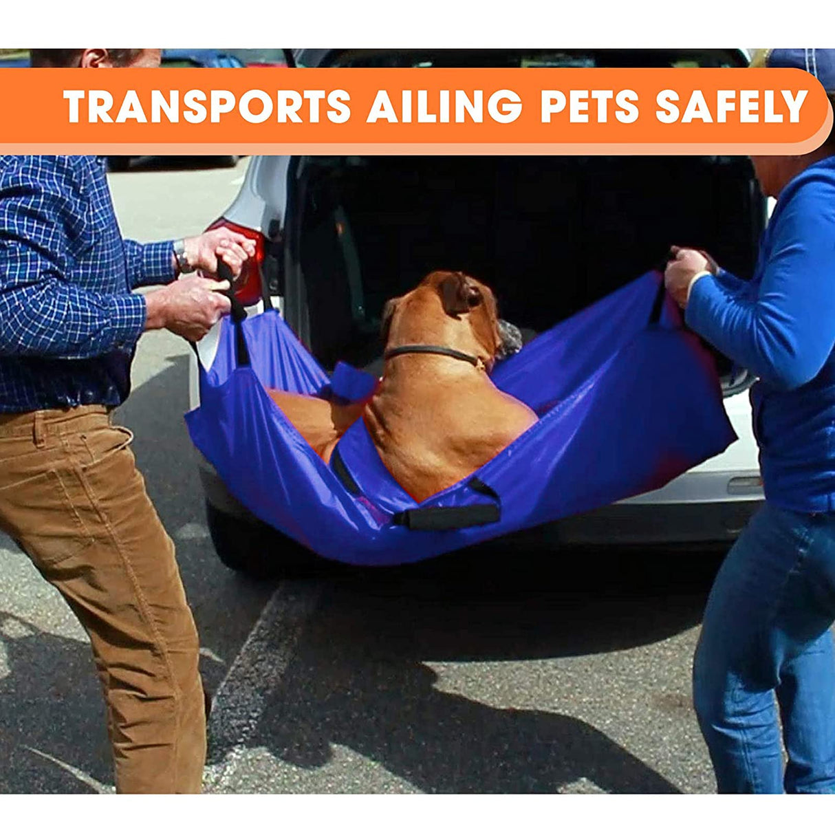Transport Stretcher for Dogs, Pet Folding Stretcher Emergency Animal Carrier with Safety Strap Max 132 Pound Weight Animal Stretcher for Dogs (Blue)