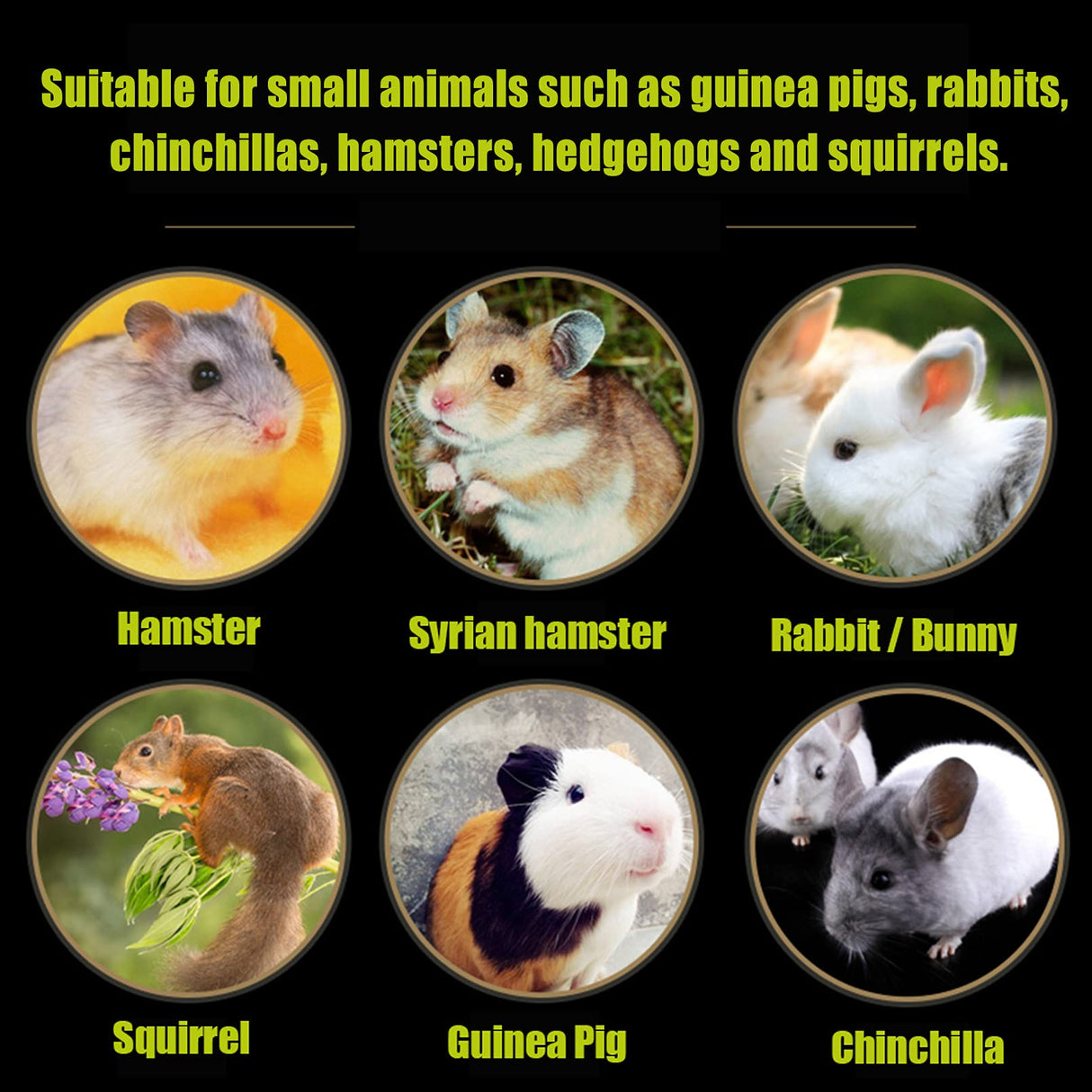Hamiledyi 20 Pack Bunny Grass Mat Woven Bed Mat Natural Straw Hay Mats Rabbit Handmade Bedding Sleeping Grinding Nesting and Chewing Toy for Guinea Pig Hamster Chinchilla Squirrel Hedgehog