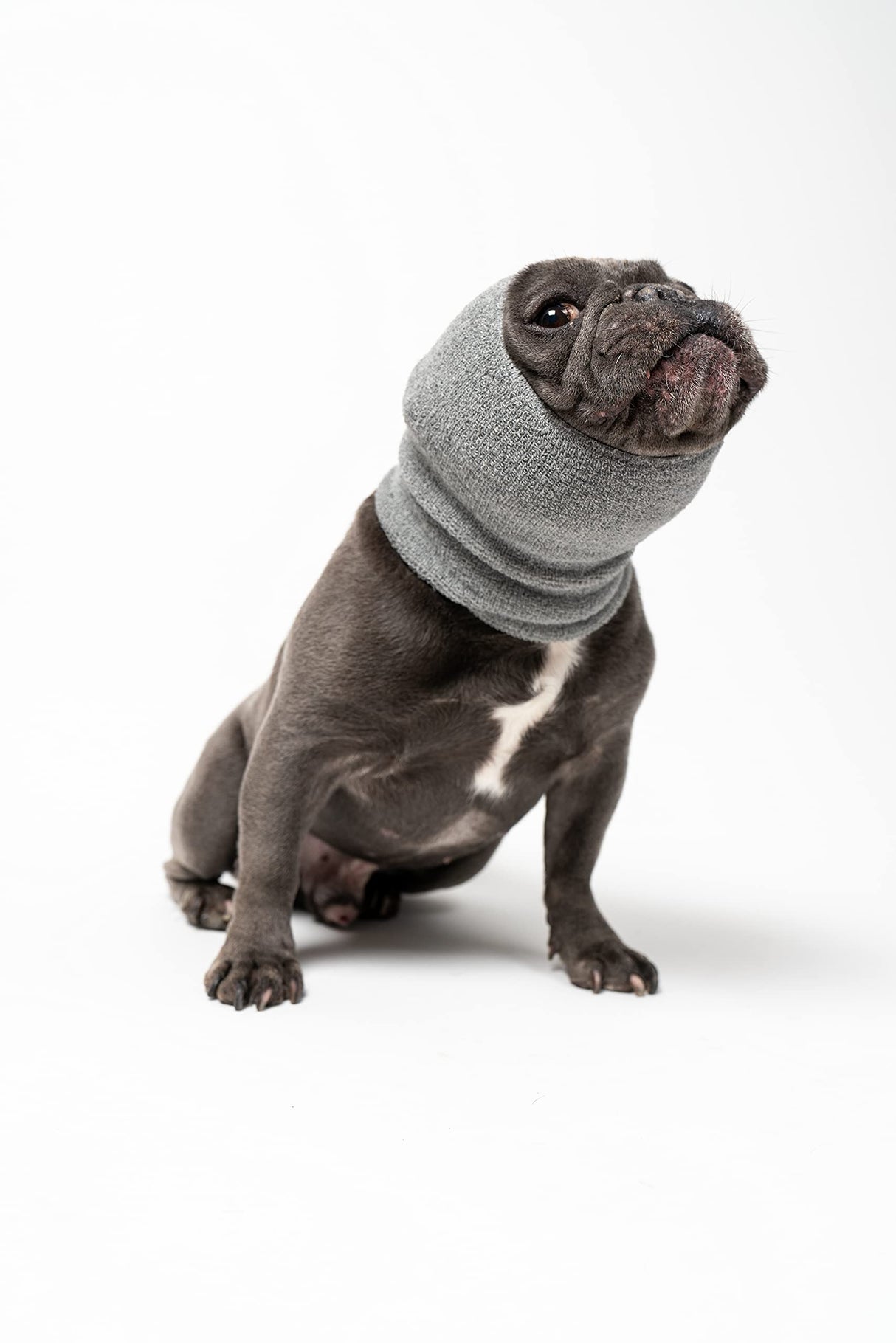 Pet Hoodz for Dogs-Anxiety, Grooming, Ear Muffs, Dog Ear Protection, Calming, Ear Compression, Pet Hoodie, Dog Hoodie (Large, Grey)