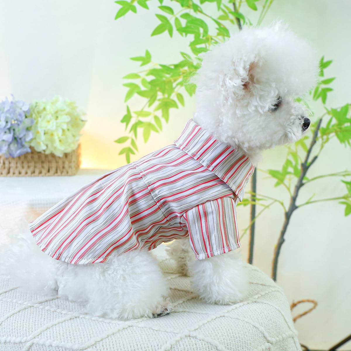 Dog Shirts for Small Dogs Cat Apparel Overalls Puppy Striped Pajamas Breathable Vest Summer Sweatshirt Lightweight Pet Clothes Birthday Holiday Outfits Red M