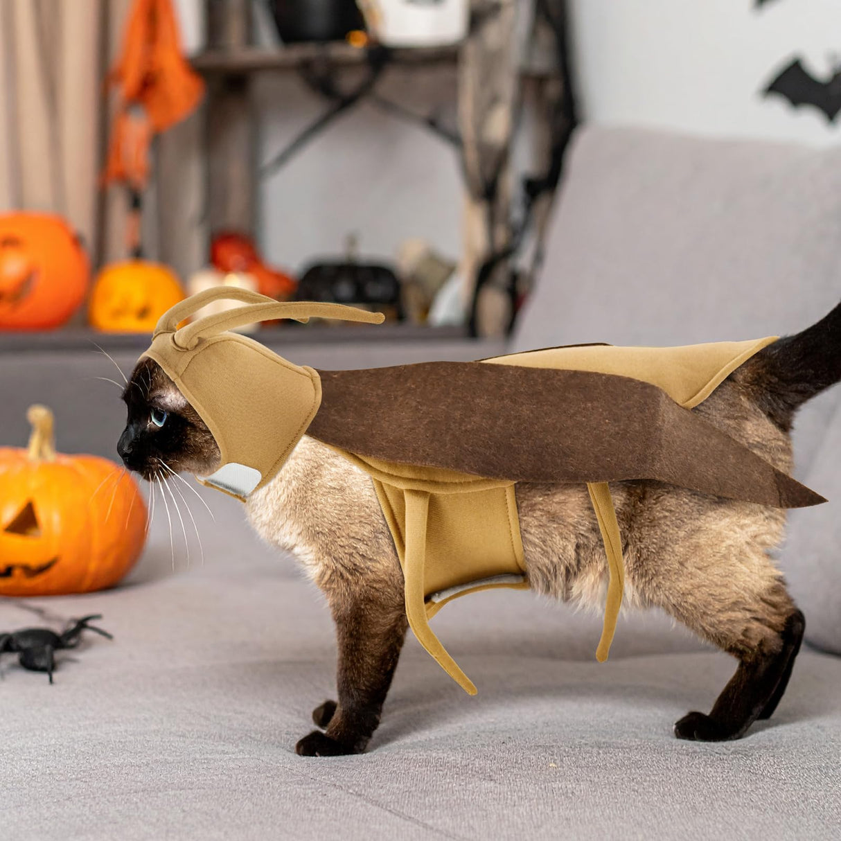 LyssKMK Halloween Puppy Cat Costume Dog Cockroach Shaped Outfits Pet Festival Cosplay Apparel for Small Dogs Cats