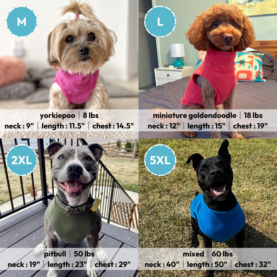 Gooby Microfiber Stretch Fleece Vest Dog Sweater - Blue, Medium - Warm Pullover Microfiber Fleece Dog Jacket for Small to Large Dogs