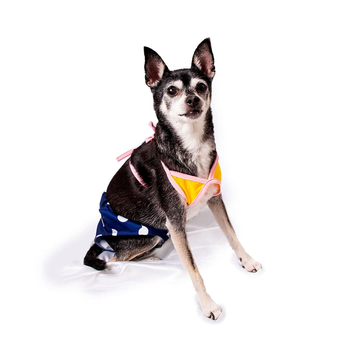Midlee Yellow Polka Dot Dog Bikini (XX-Large)