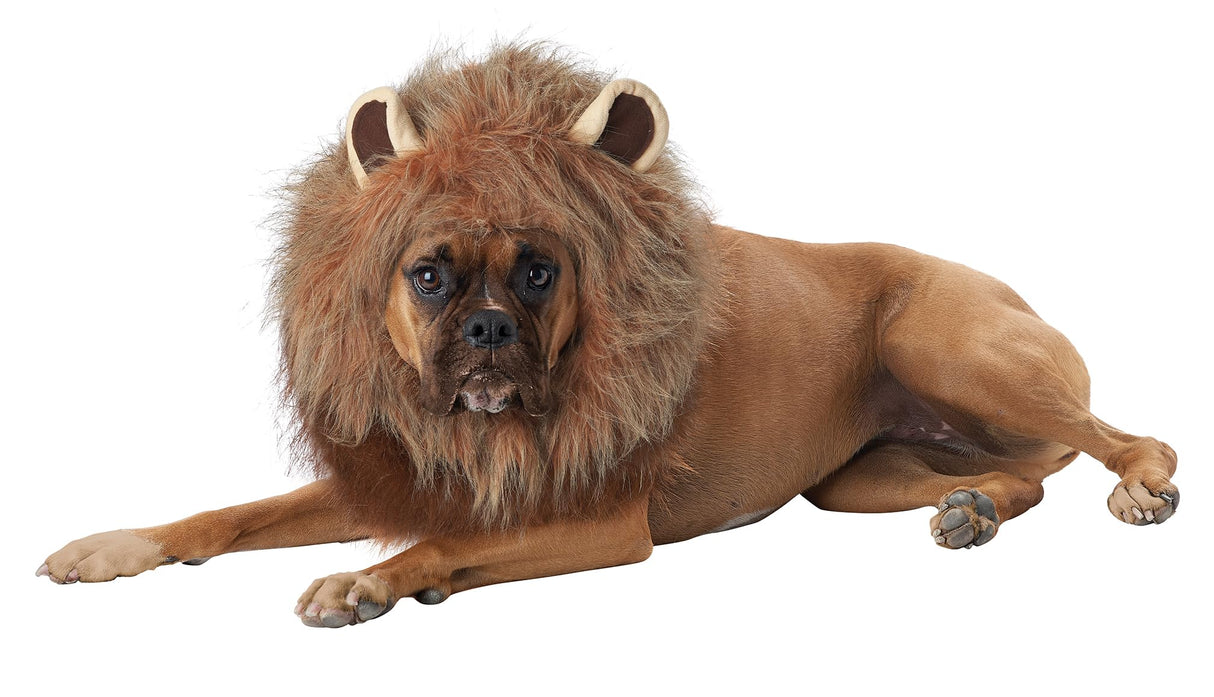 California Costumes, King of The Jungle - Lion, Dog Costume Medium