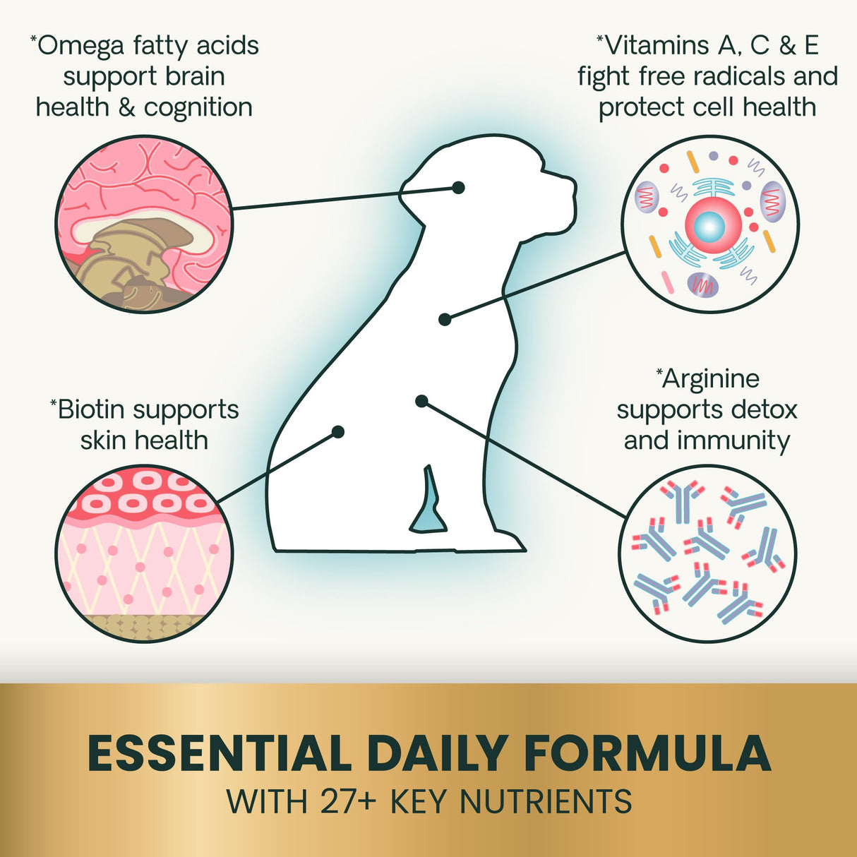 VetriScience 27+ Active Health Chewable Tablets, Canine Plus Daily Multivitamin for Puppies and Adult Dogs, Balanced Vitamins, Minerals and Antioxidants, Health and Wellness Support, Duck, 90 Count