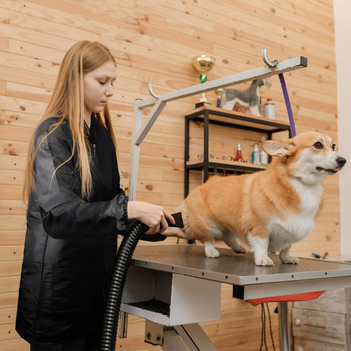 Pumtus Waterproof Pet Grooming Smock, Long Sleeves Dog Grooming Workwear, Baber Hairdresser Uniform with Full Zipper & Pockets, Anti-Static Professional Stylist Jacket for Salon, Pet Shop (Medium)