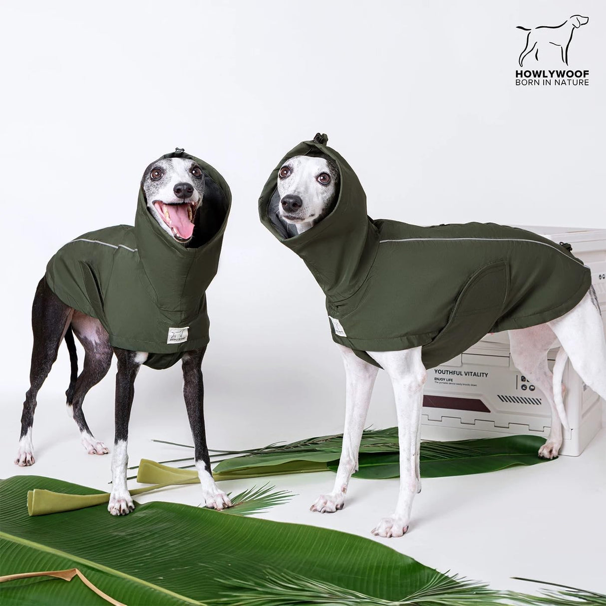 HowlyWoof Waterproof Dog Raincoat, Hooded Raincoat for Dachshund Whippet Small Medium Large Dogs, Adjustable Dog Rain Coat Jacket (05(chest21-23'', back17-19.5''))