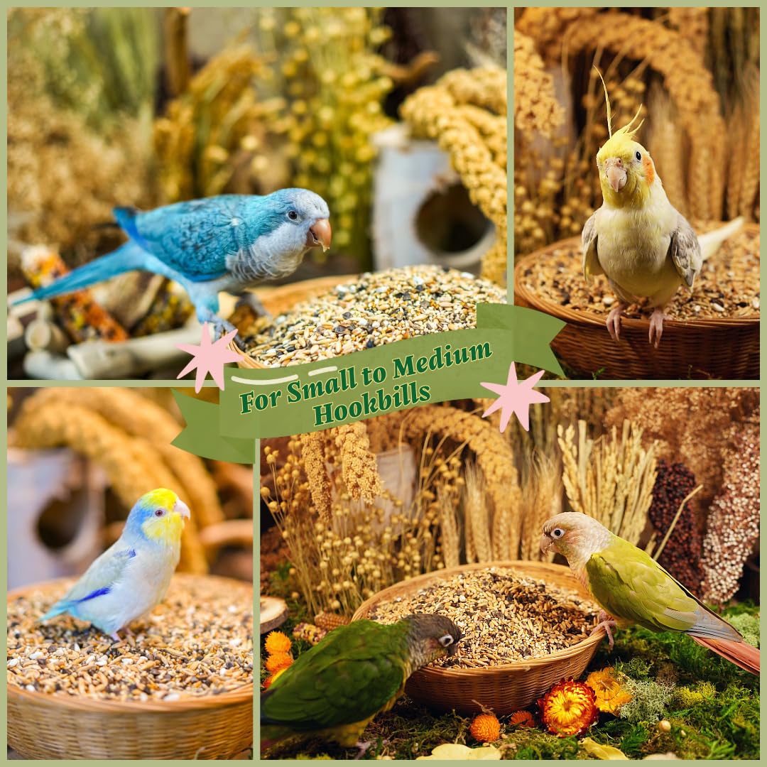 KikiBirds Premium Parrot Food| Protein-Rich Low-Fat Formula | Cockatiel, Conure, Lovebird, Quaker, Parrotlet | No Corn, Soy, Peanuts | Gourmet Whole Grains & Seeds | Daily Maintenance Blend (3 lbs)