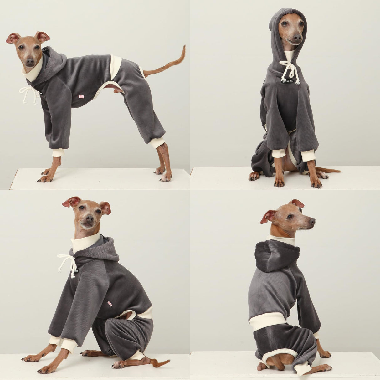 D Doggy Star Italian Greyhound Clothes, Corduroy Velvet Hooded Jumpsuit, Stretchy and Cozy (2XL,Hoodie Charcoal)
