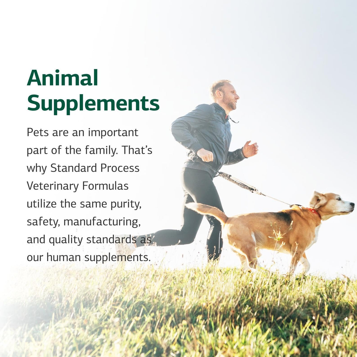 Standard Process Mushroom Complex for Dogs & Cats - Immune Support Supplement with Bovine Colostrum - Lion's Mane Extract Powder for Dog & Cat Immune Support - Essential Aid for Pet Health - 2.92 oz