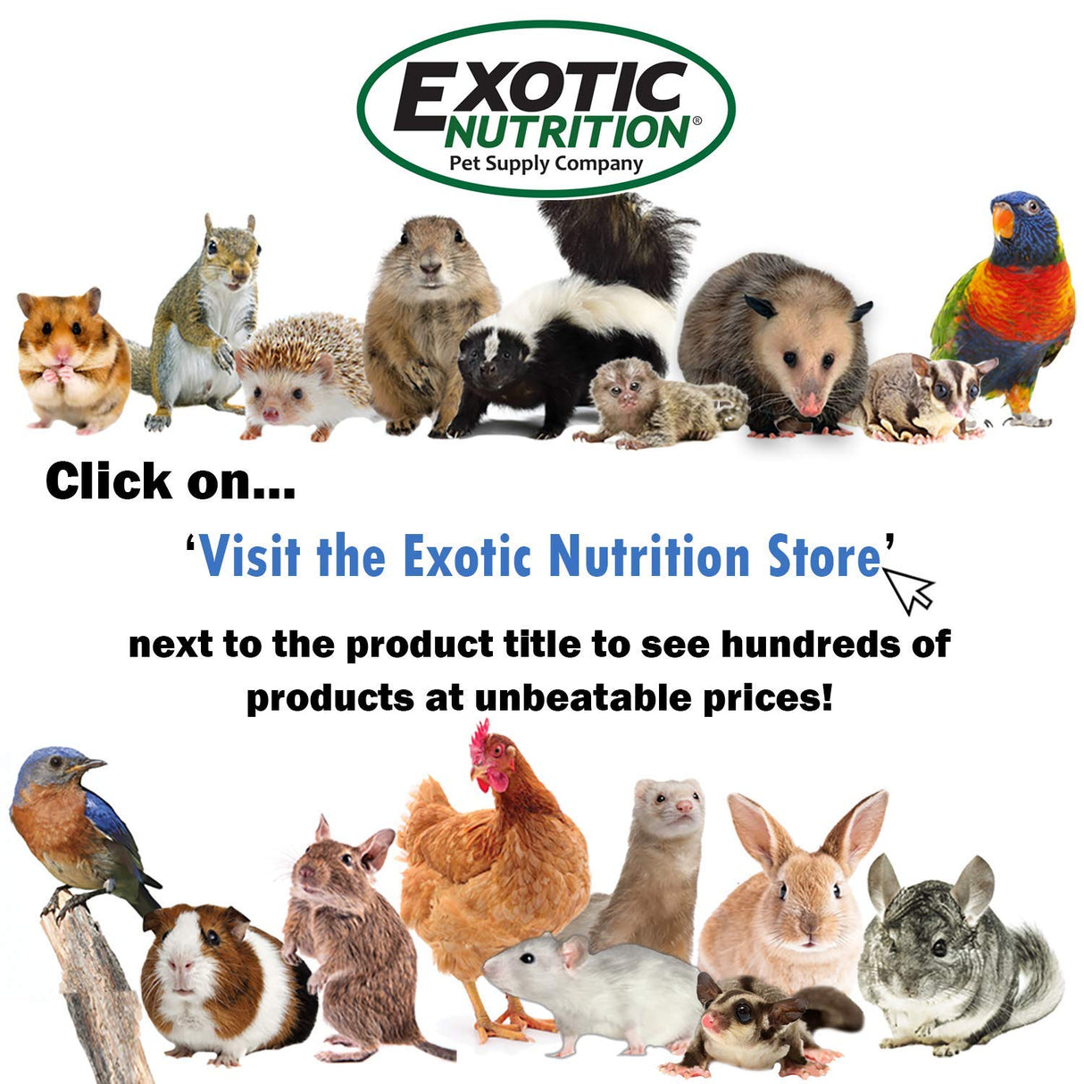Exotic Nutrition Degu Diet (2.5lb) - Nutritionally Complete Healthy Pellet Diet with Whole Oats - for Domesticated Pet Degus