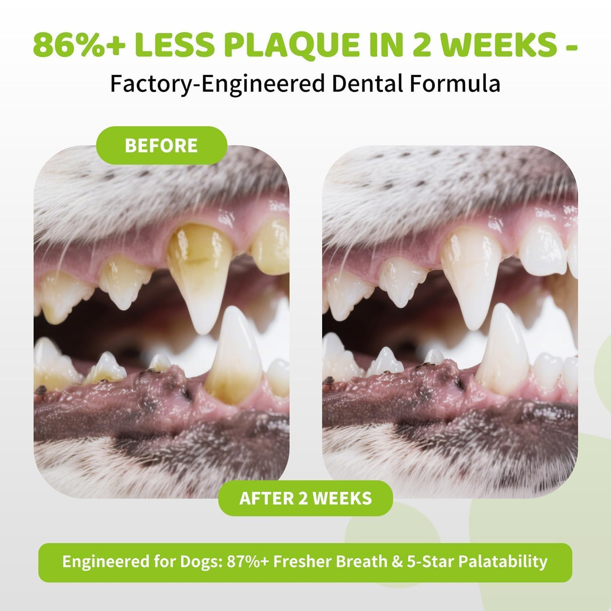 Aloevia Dog Dental Powder for Teeth 200g -Enzymatic Plaque & Tartar Remover, Teeth Cleaning Powder for Fresh Breath, 90 Day Supply for All Breeds