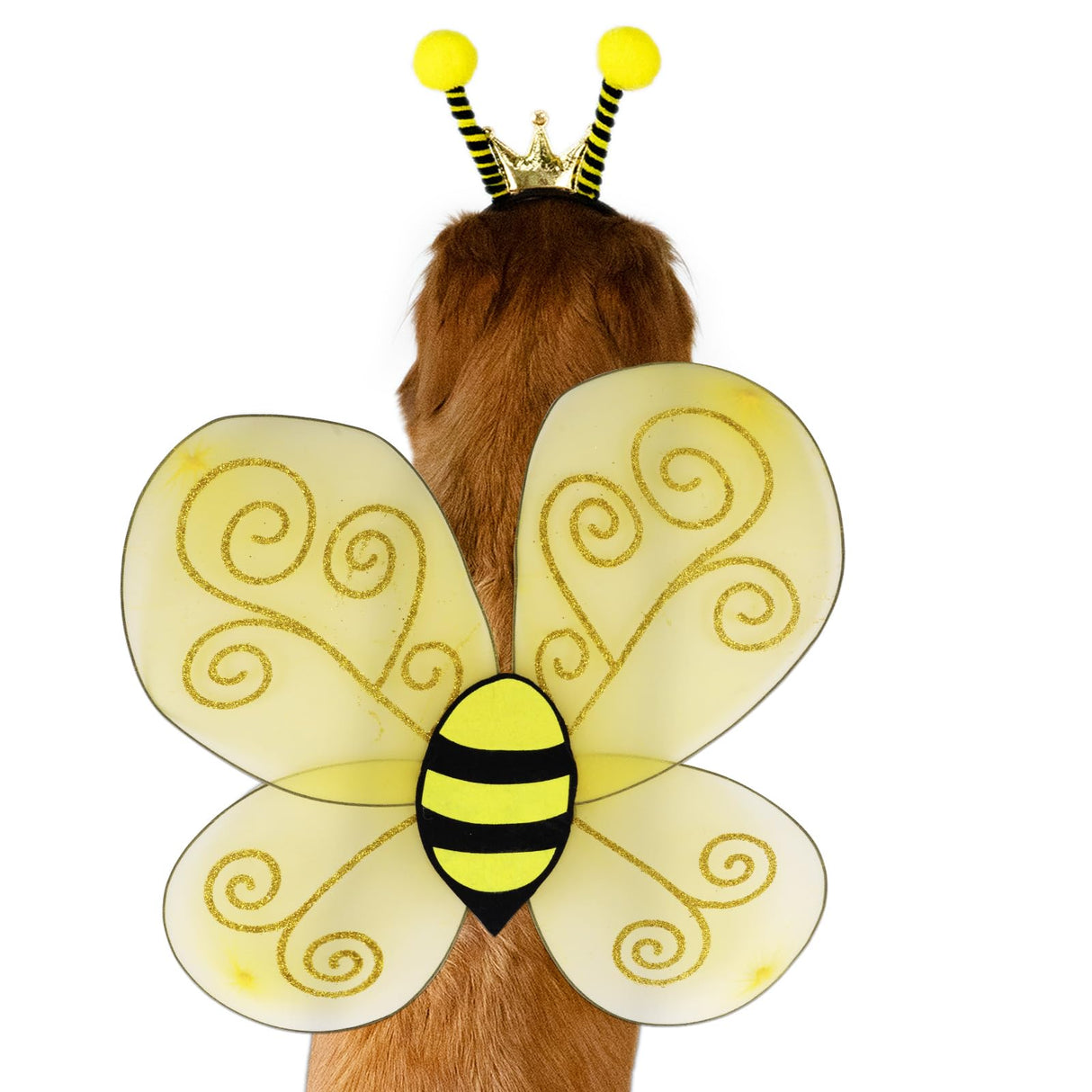Wodison Bee Dog Headband and Wings Costume Set, Bee Wings Headband Accessories for Large Dog Halloween Christmas Birthday Festival Party Cosplay